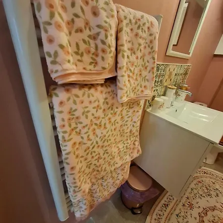 De Charme Plein Centre Libourne