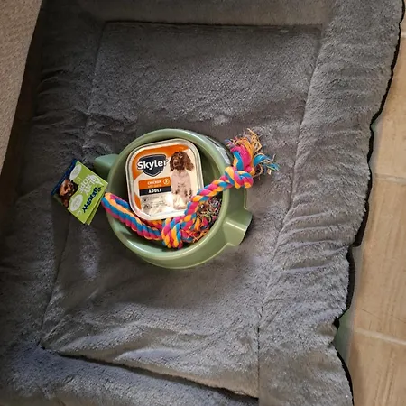 De Charme Plein Centre